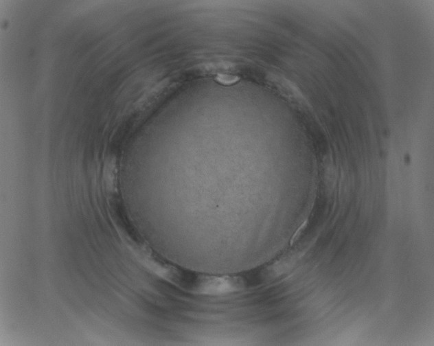 X0000067380083200604131917