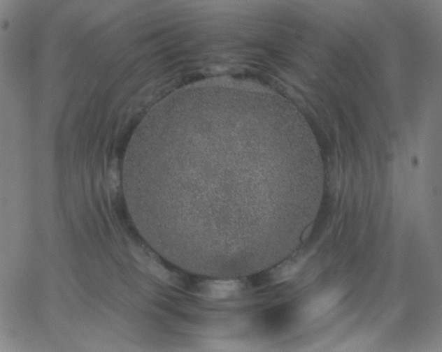 X0000067380085200604131917
