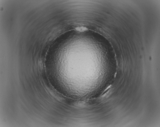 X0000067380086200604131917