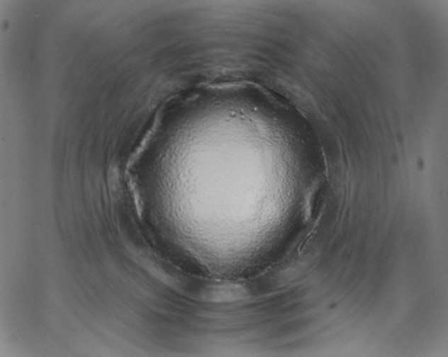X0000067380087200604131917