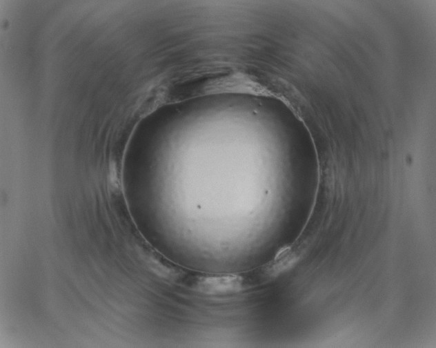X0000067380089200604131917