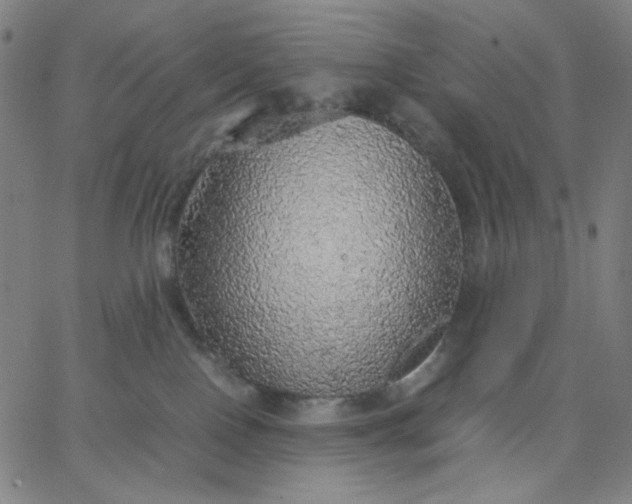 X0000067380090200604131917