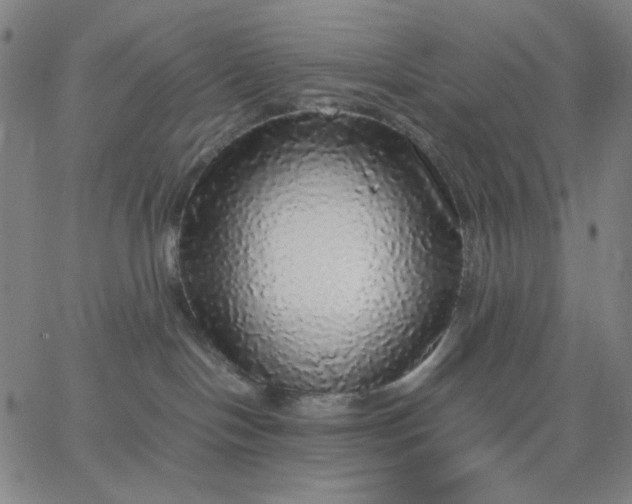 X0000067380094200604131917