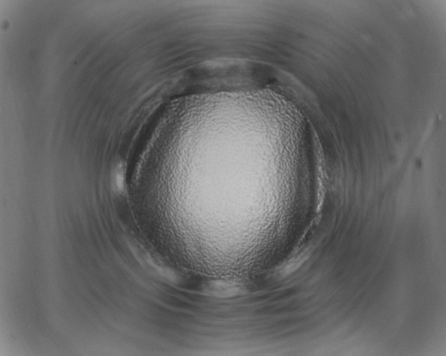 X0000067380095200604131917