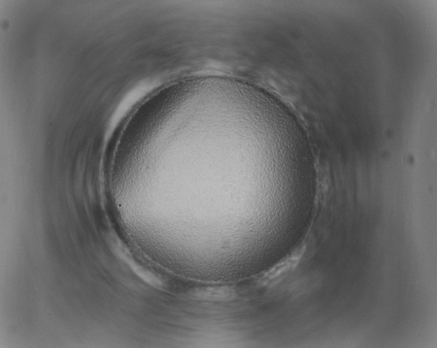 X0000067380102200604131916