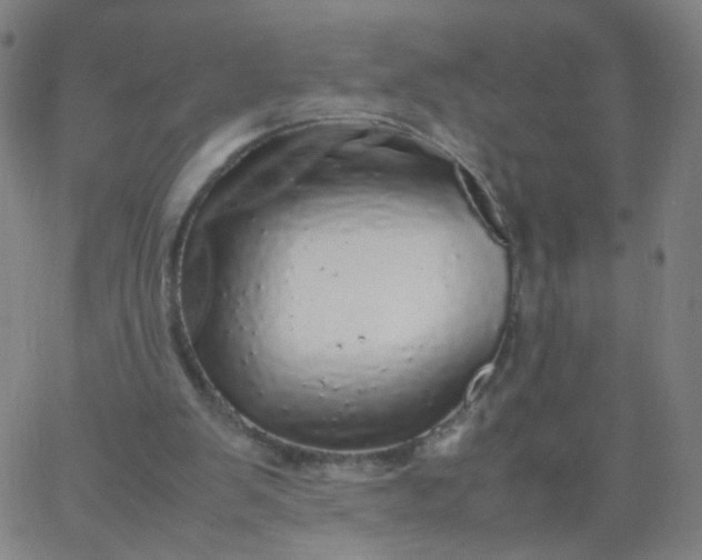 X0000067380103200604131916