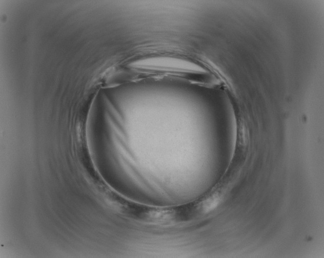 X0000067380117200604131916