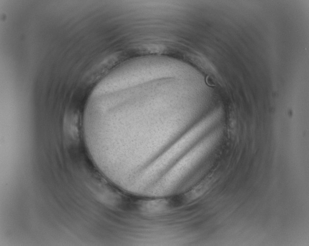 X0000067380122200604131916