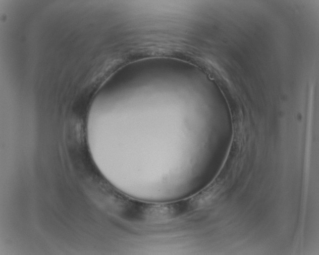 X0000067380123200604131916