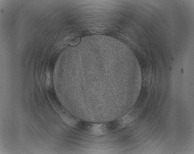 X0000067380130200604131916