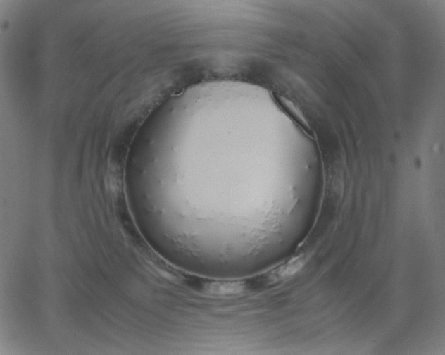 X0000067380135200604131916