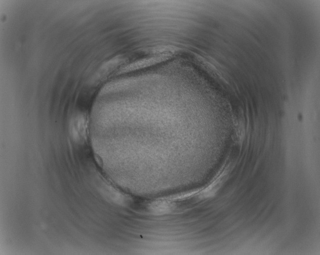 X0000067380142200604131916