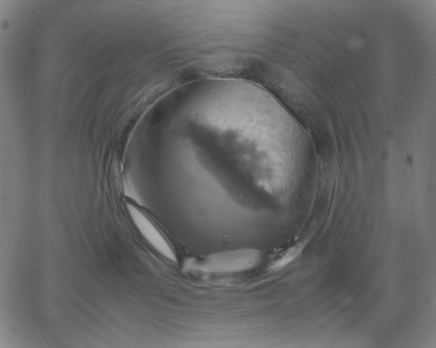 X0000067380143200604131916
