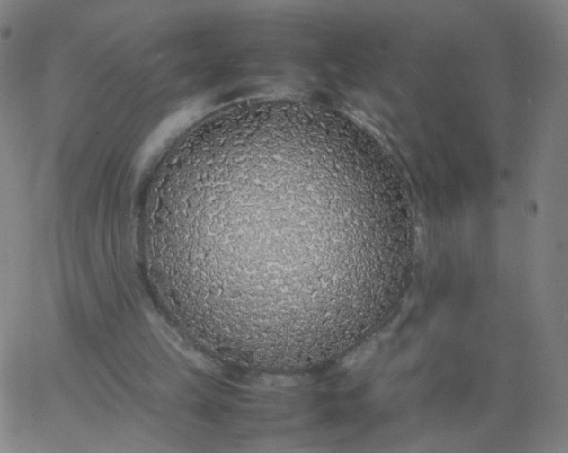 X0000067380149200604131915