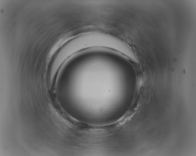 X0000067380150200604131915