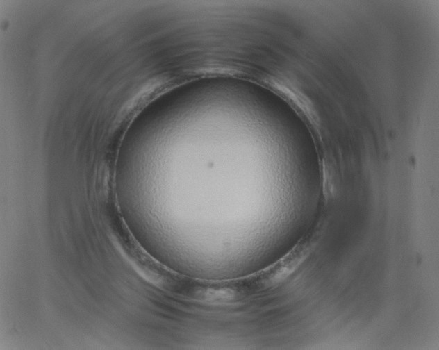 X0000067380157200604131915