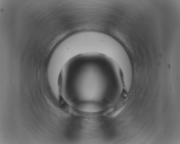 X0000067380164200604131915