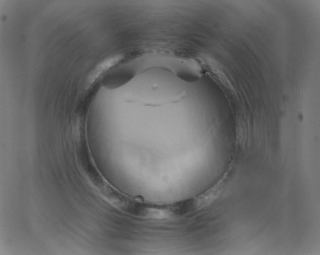 X0000067380167200604131915