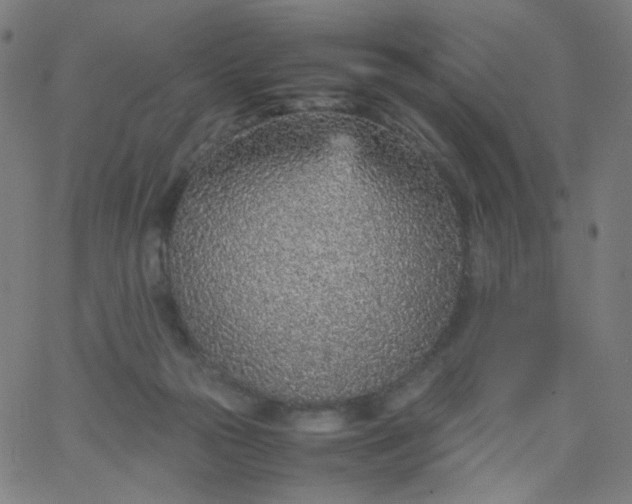 X0000067380169200604131915