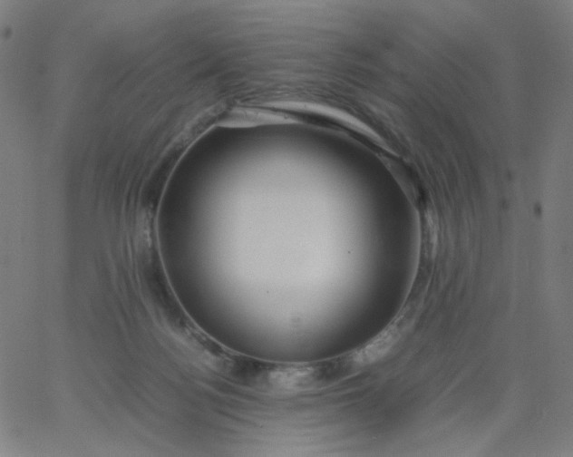 X0000067380172200604131915