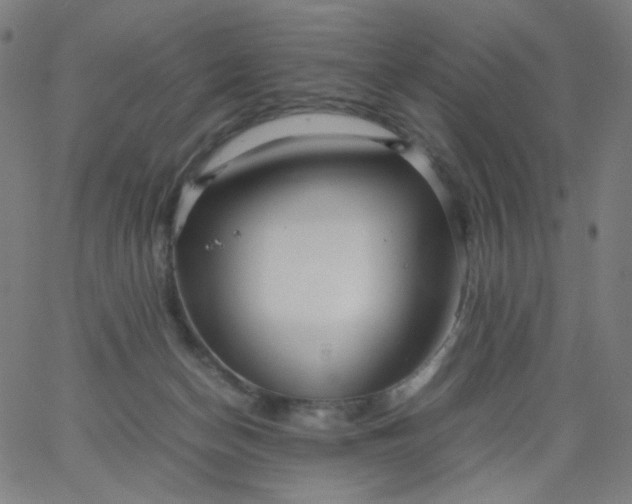 X0000067380174200604131915