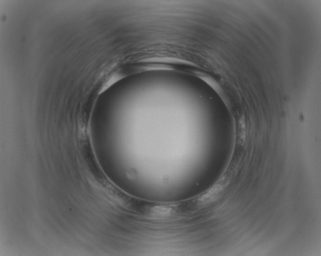 X0000067380176200604131916