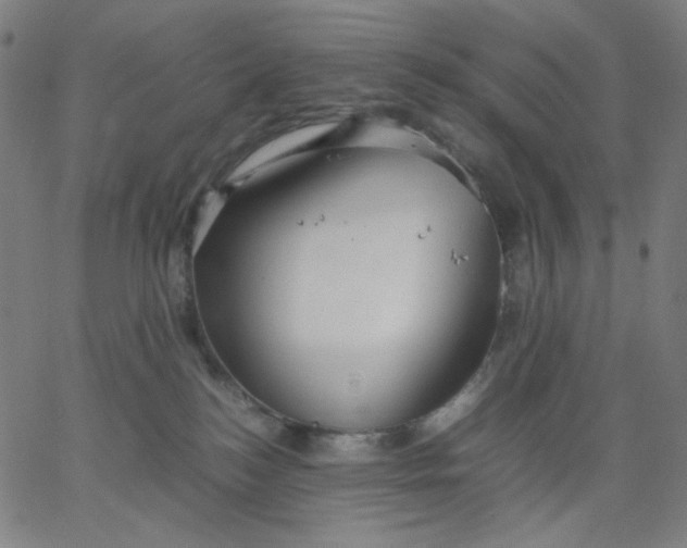 X0000067380184200604131916