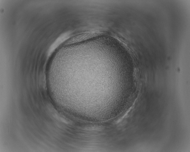 X0000067380198200604131915