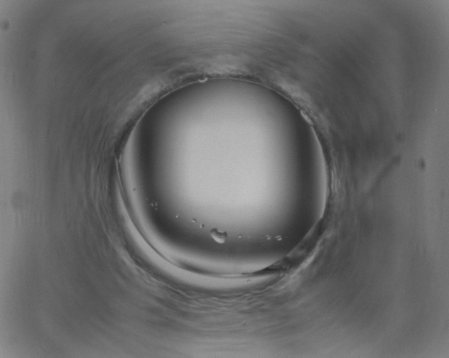 X0000067380201200604131915
