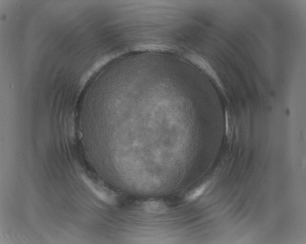 X0000067380204200604131915