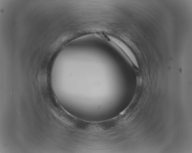X0000067380207200604131915