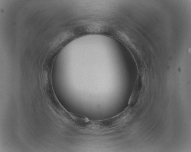 X0000067380211200604131915