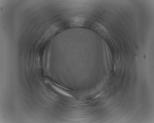 X0000067380224200604131914