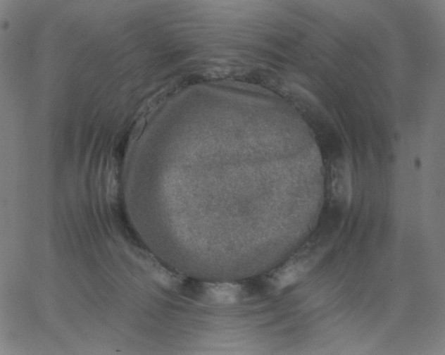 X0000067380226200604131914