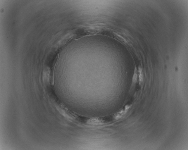 X0000067380231200604131914