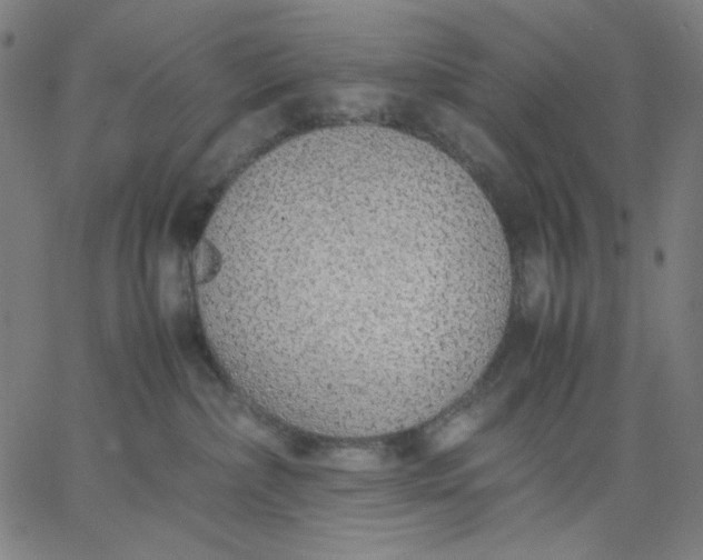 X0000067380236200604131914