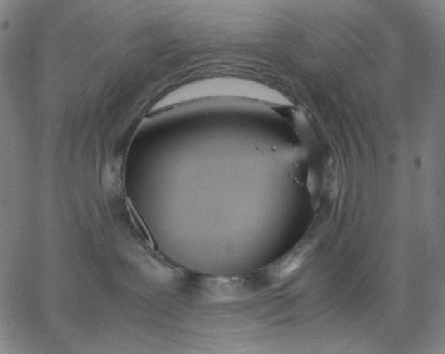 X0000067380239200604131914