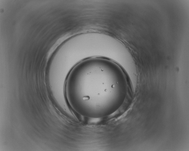 X0000067380244200604131913