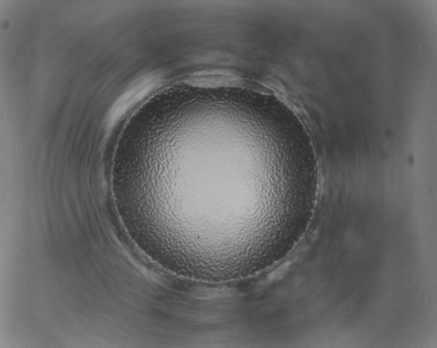 X0000067380245200604131913