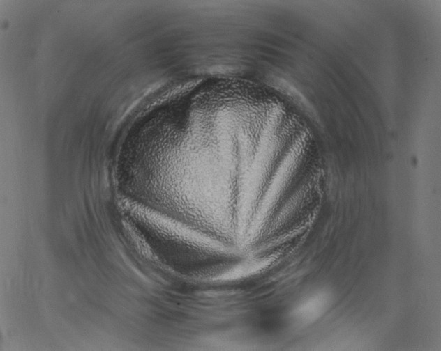 X0000067380251200604131914