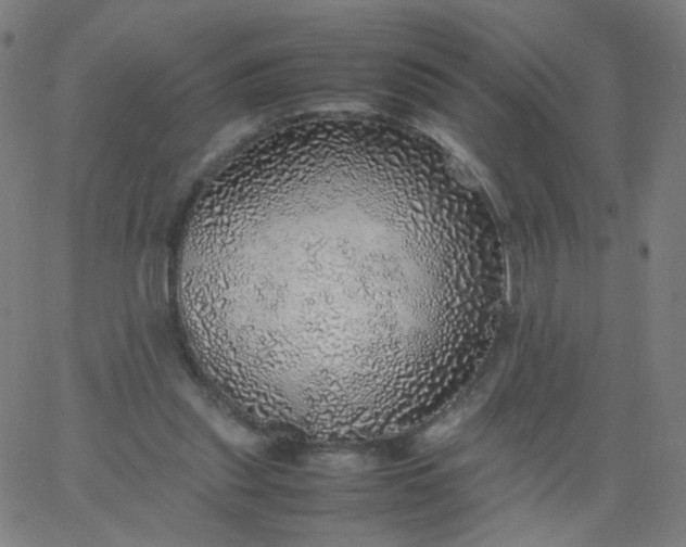 X0000067380253200604131914
