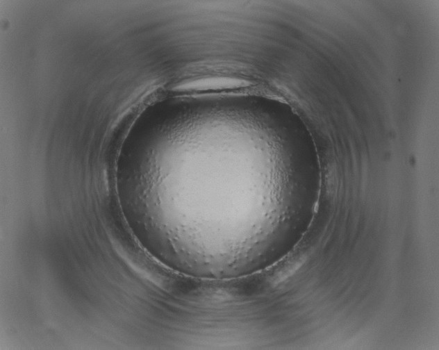 X0000067380254200604131914