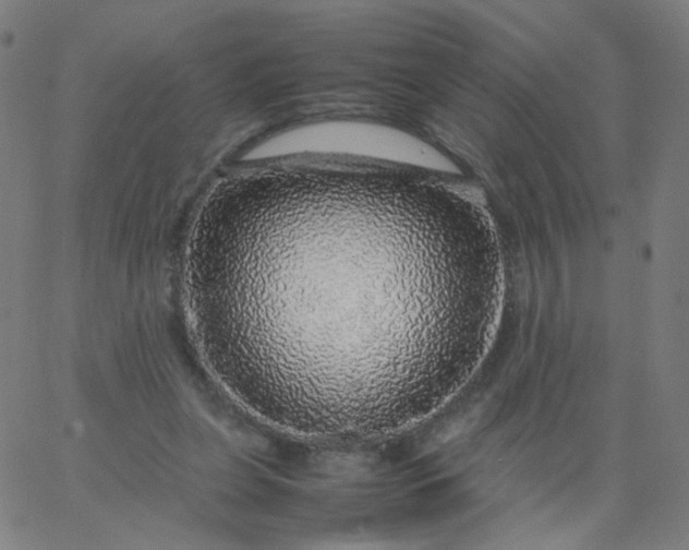 X0000067380255200604131914