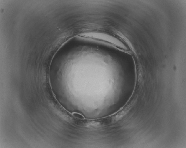 X0000067380257200604131914