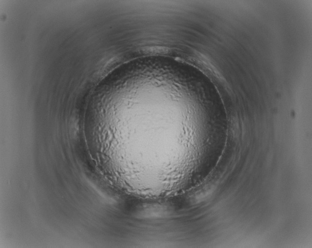 X0000067380259200604131914