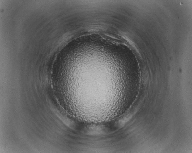 X0000067380261200604131914