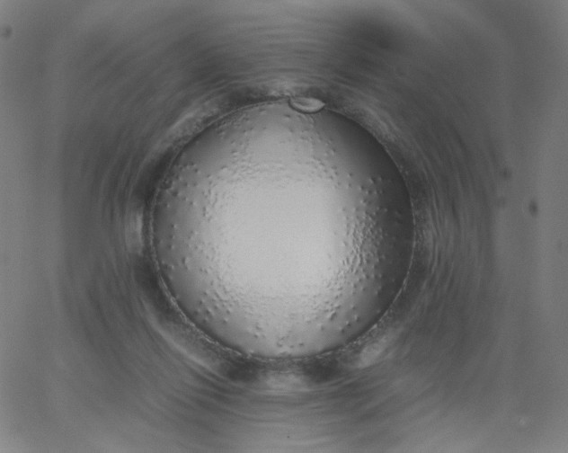 X0000067380262200604131914
