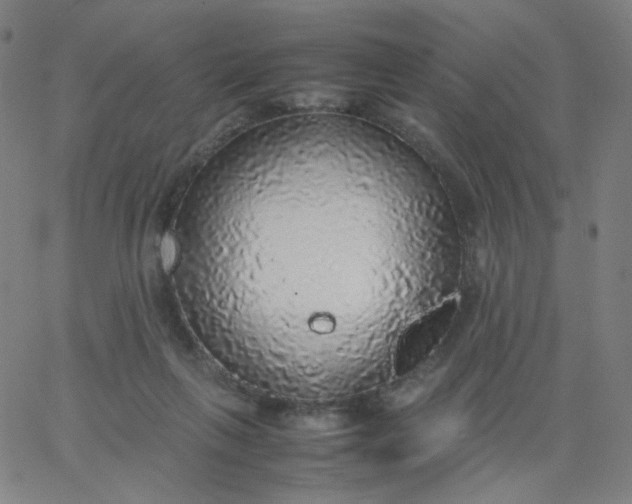 X0000067380263200604131914