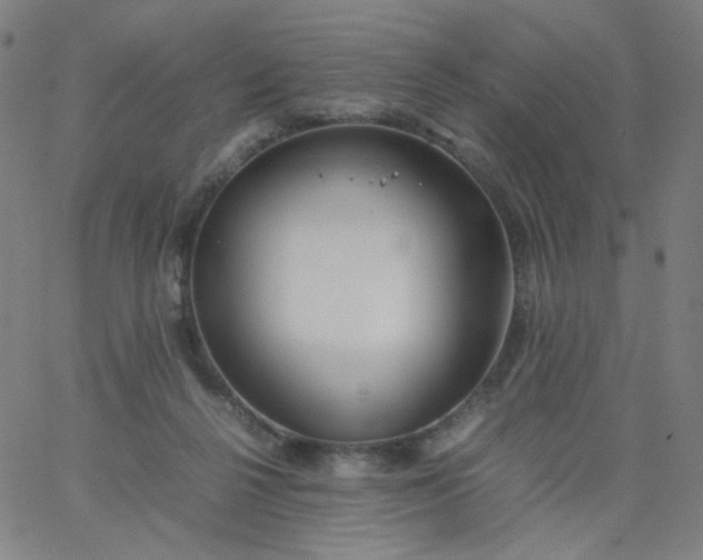 X0000067380264200604131914