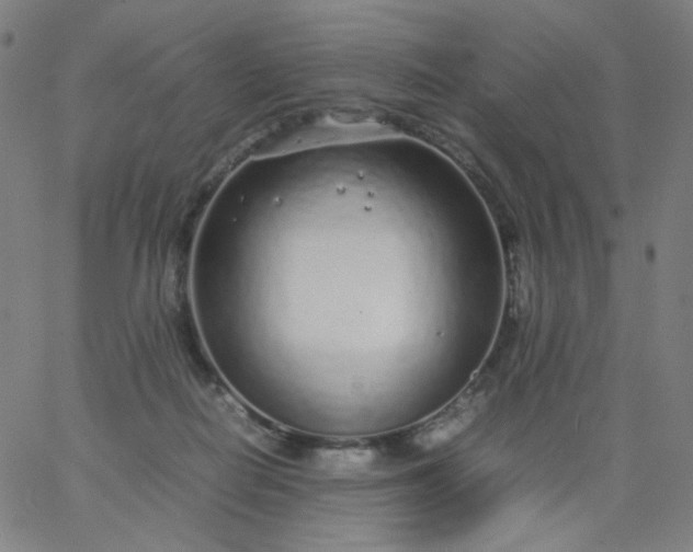X0000067380266200604131914